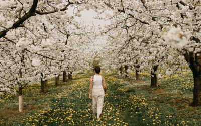 Zwischen den Welten – Geschichten über das Dazwischen, Impulse aus dem Leben