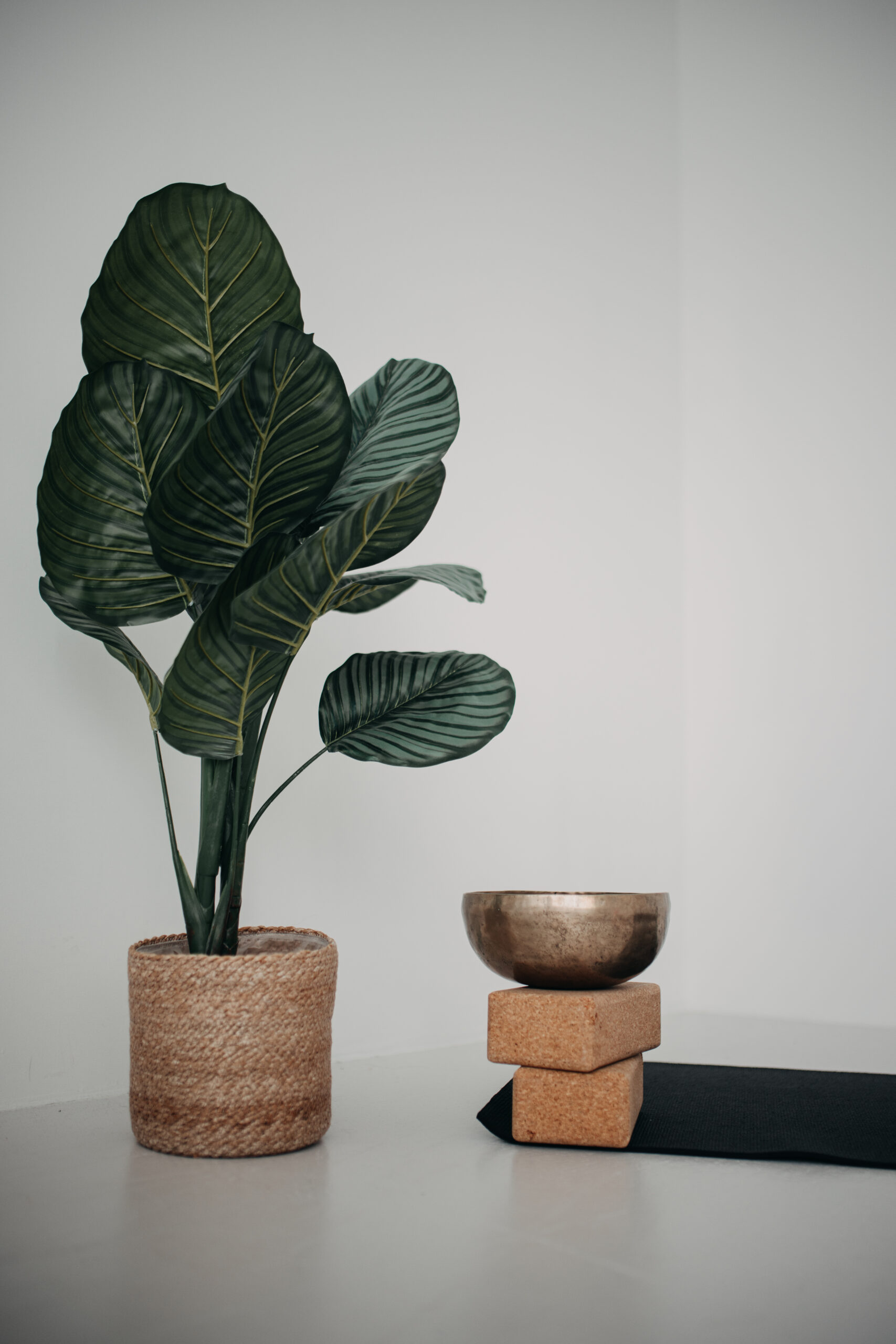 ©Foxografie_studiobloom_franziskasebald_februar_2025_69